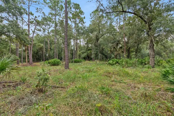14133 LUND DR, Orlando, FL 32826
