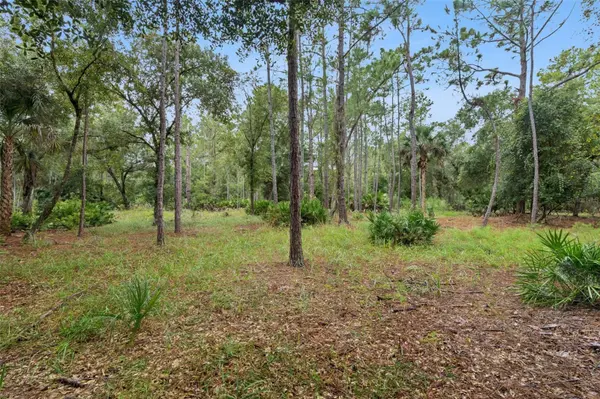 14133 LUND DR, Orlando, FL 32826