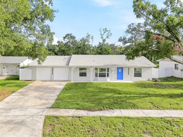 8011 FOUNTAIN AVE, Tampa, FL 33615