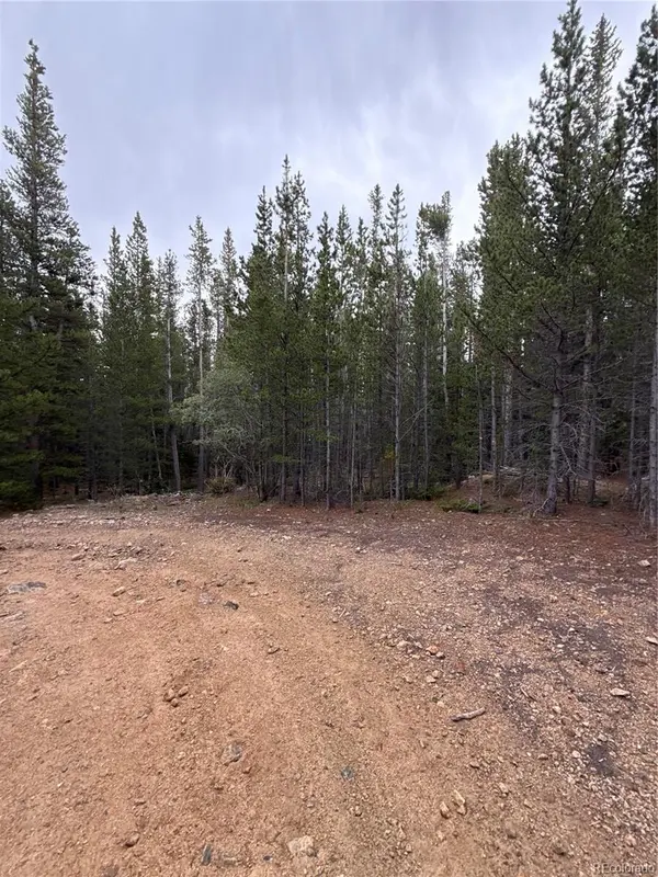 111 Green CT, Idaho Springs, CO 80452