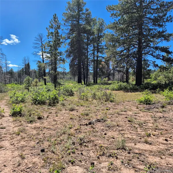 1620 Wildcat Canyon RD, Montrose, CO 81403