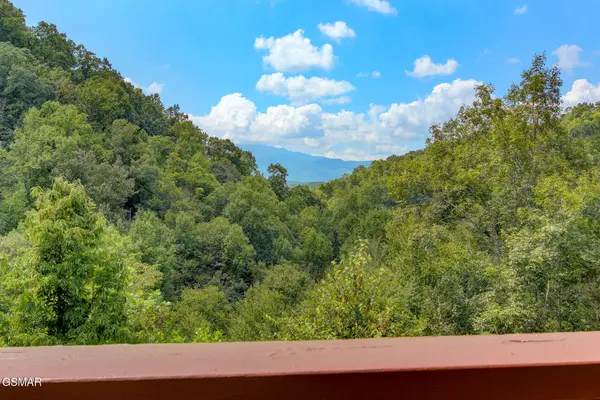 919 Grey Fox Trail, Gatlinburg, TN 37738