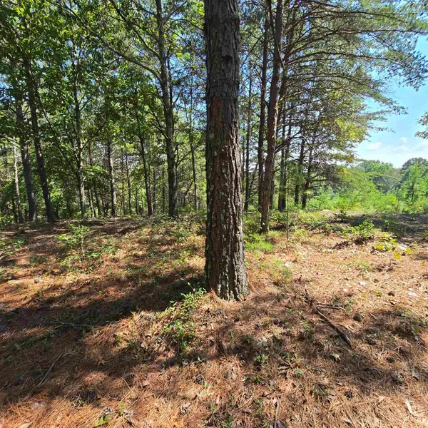 0 Helms RD, Blacksburg, SC 29702