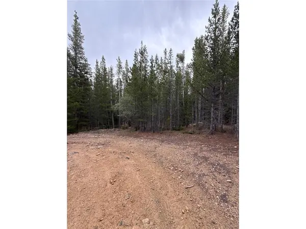 111 Green, Idaho Springs, CO 80452