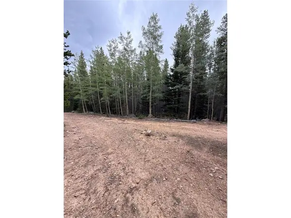 111 Green, Idaho Springs, CO 80452