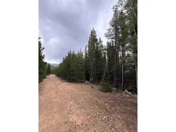 111 Green, Idaho Springs, CO 80452
