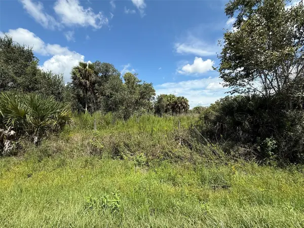 19145 NW 302ND ST, Okeechobee, FL 34972