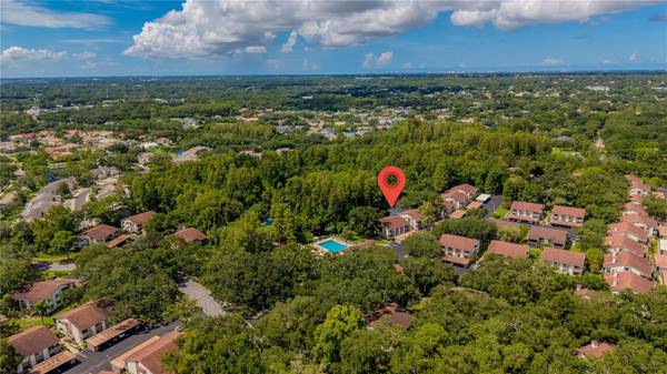612 BALDWIN AVE #C, Safety Harbor, FL, 34695 photo 34