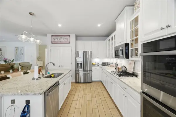 11750 LAKE LUCAYA DR, Riverview, FL 33579