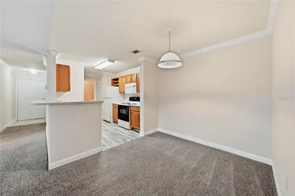 18471 BRIDLE CLUB DR, Tampa, FL 33647