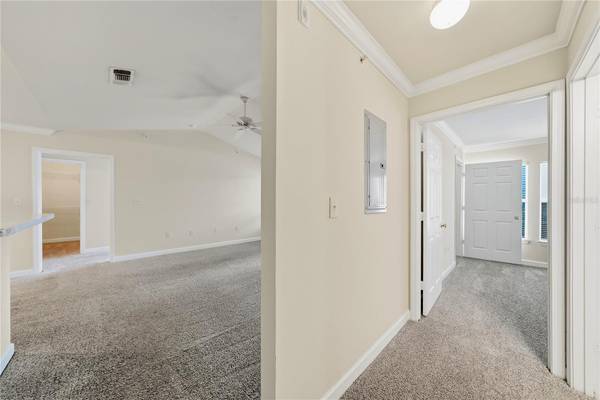 18471 BRIDLE CLUB DR, Tampa, FL, 33647 photo 4