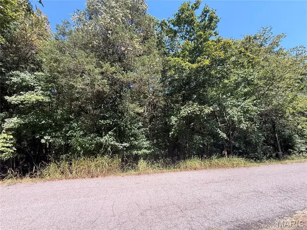 0 Terre Bleue and Hedgeapple DR, Bonne Terre, MO 63628