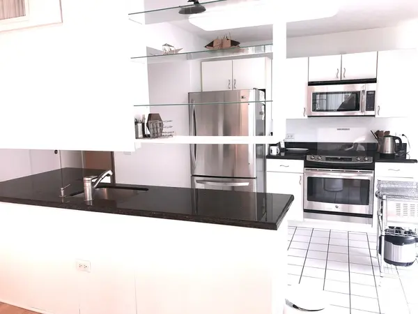 3120 S Indiana AVE #407, Chicago, IL 60616
