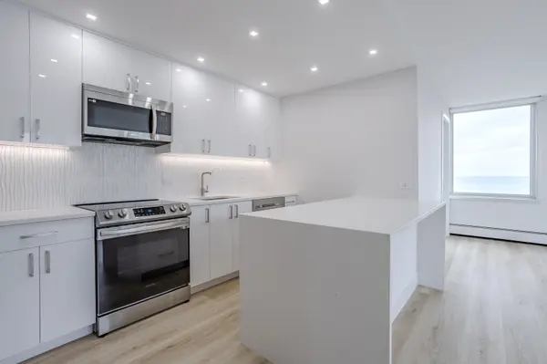 336 W Wellington AVE #1805, Chicago, IL 60657