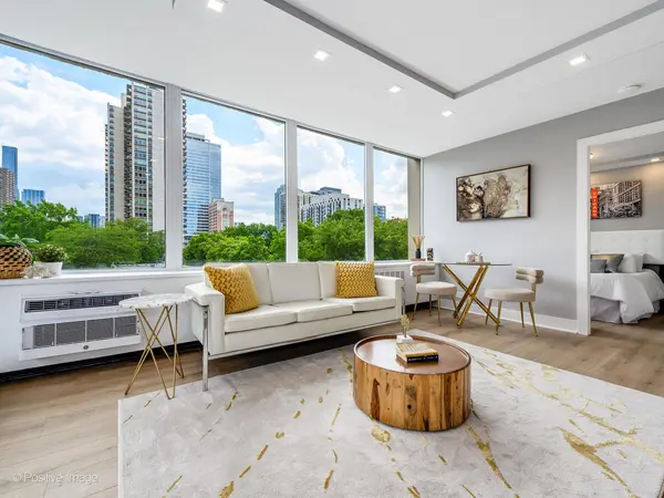 1355 N Sandburg TER #402D, Chicago, IL 60610