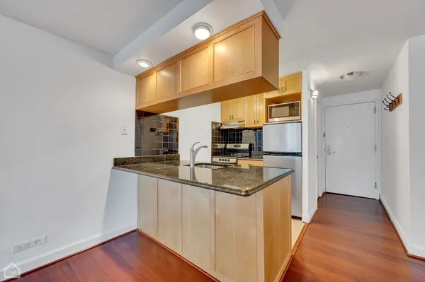 1221 N Dearborn ST #PH7N, Chicago, IL 60610