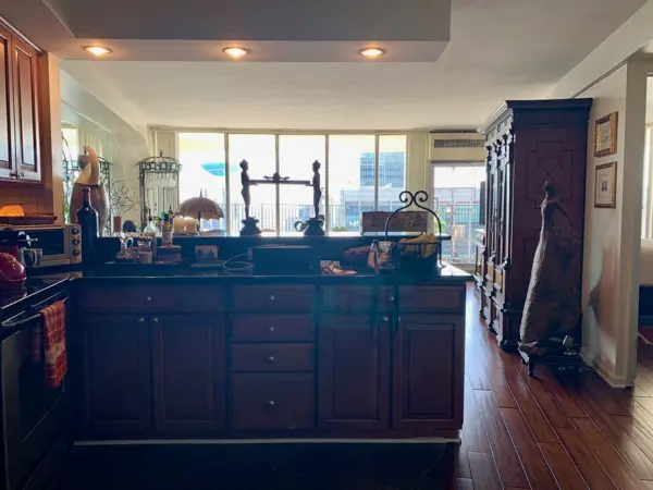 300 N State ST #5501, Chicago, IL 60654