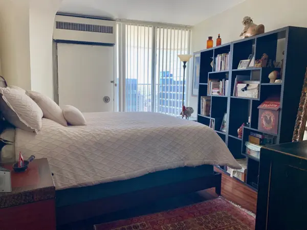 300 N State ST #5501, Chicago, IL 60654