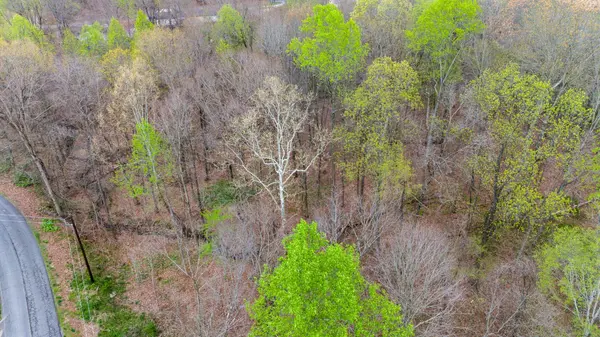 0 Town Branch Road, Charlotte, TN 37036