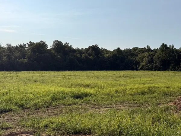 0 HWY 77, Paris, TN 38242