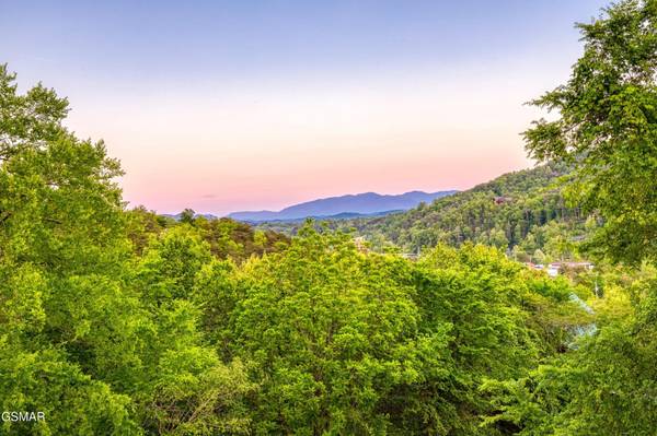 3301 Kestrel Way, Pigeon Forge, TN 37863