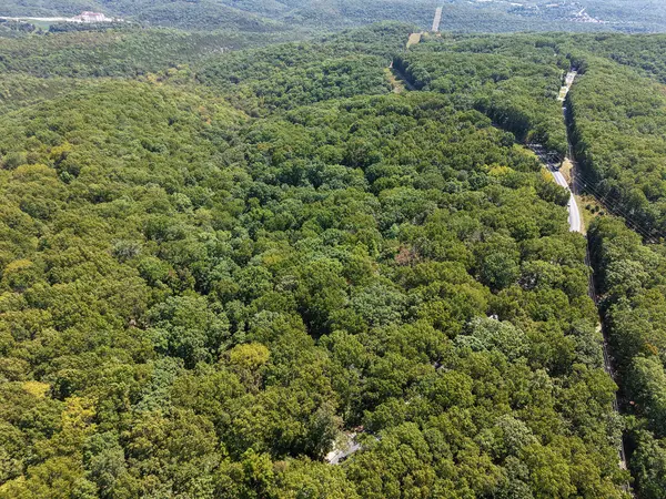 62 Seldom Seen LN, Branson West, MO 65737