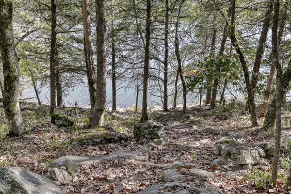 18715 Fr 2285, Eagle Rock, MO 65641