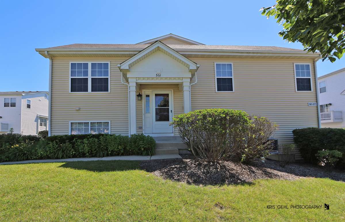 561 N Triumph CT, Hainesville, IL 60073