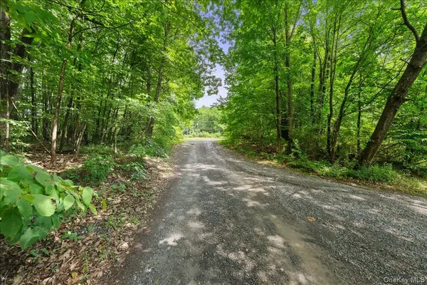 Beckrick DR, Rhinebeck, NY 12572