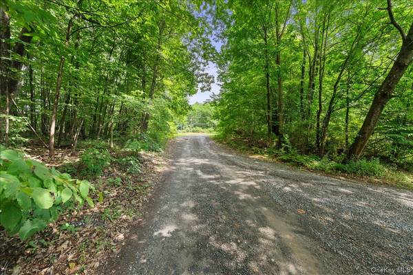 Beckrick DR, Rhinebeck, NY 12572
