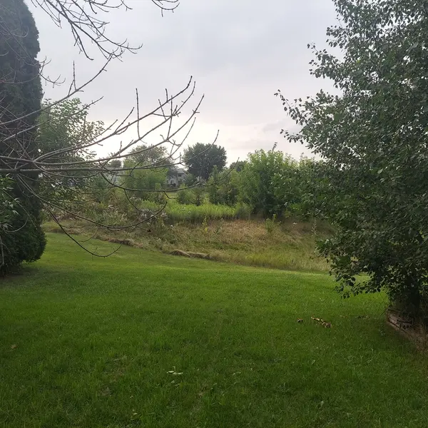 446 Gloria LN, Oswego, IL 60543