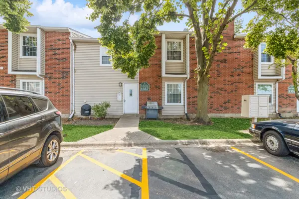 1357 E Wyndham CIR #204, Palatine, IL 60074