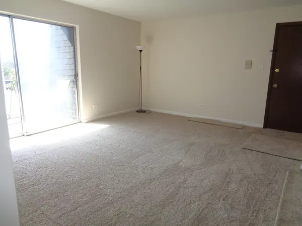 4909 W 109th ST #203, Oak Lawn, IL 60453