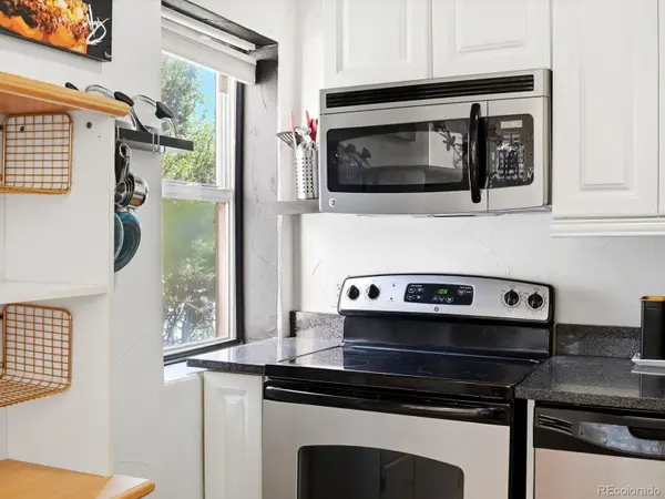 3133 N Downing ST, Denver, CO 80205