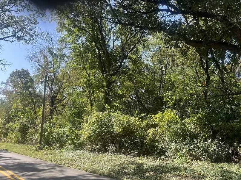 Lot 4 MCCORNACK RD, Elgin, IL 60124