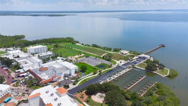 70 BAY WOODS DR, Safety Harbor, FL, 34695 photo 68