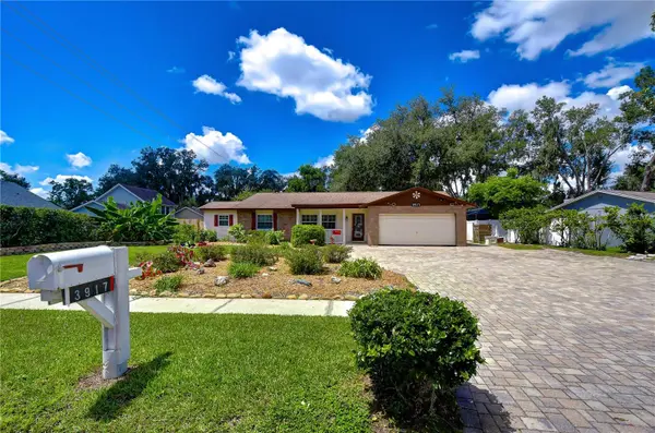 3917 KING DR, Brandon, FL 33511
