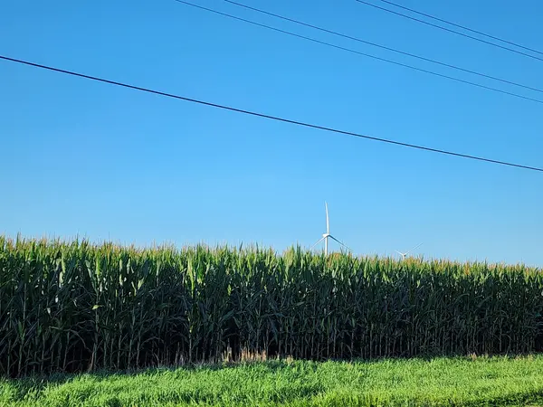 2250 E CR 1100 RD E, Carlock, IL 61725