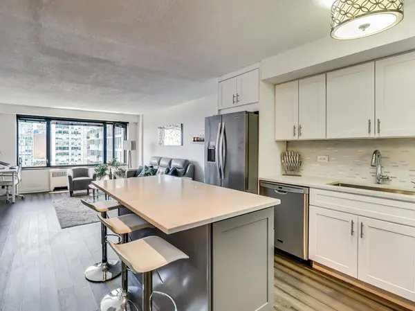 3100 N Lake Shore DR #1302, Chicago, IL 60657