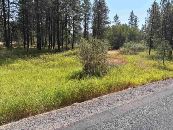 XXXXX S Malloy Prairie Rd #Parc # 03095.9052 & 03095.9053, Cheney, WA 99004