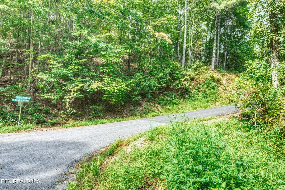 0 Stepping Stone Drive, Sevierville, TN 37862