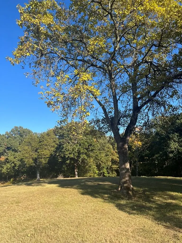1486 Cedar Grove Rd, Big Sandy, TN 38221