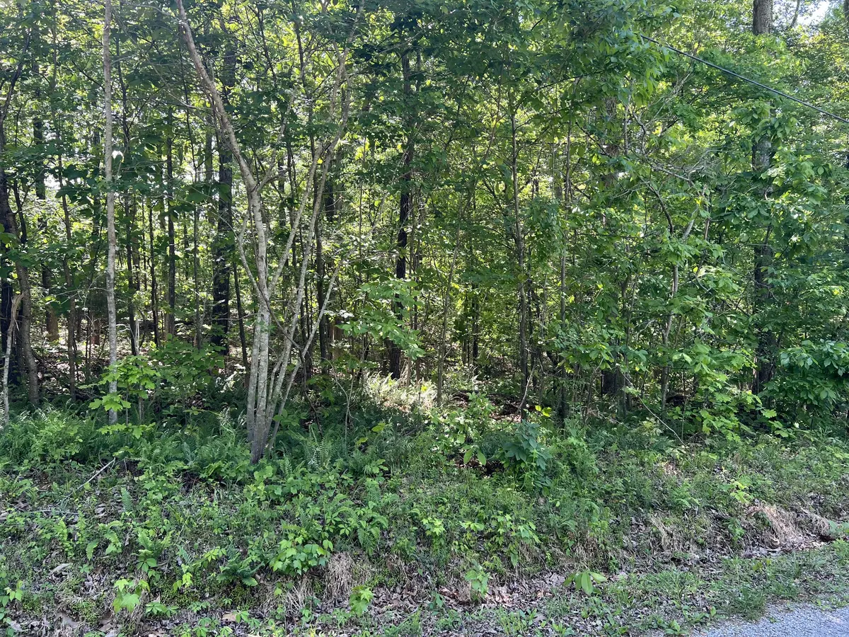 114 Swan Bay Estates Road, Buchanan, TN 38222