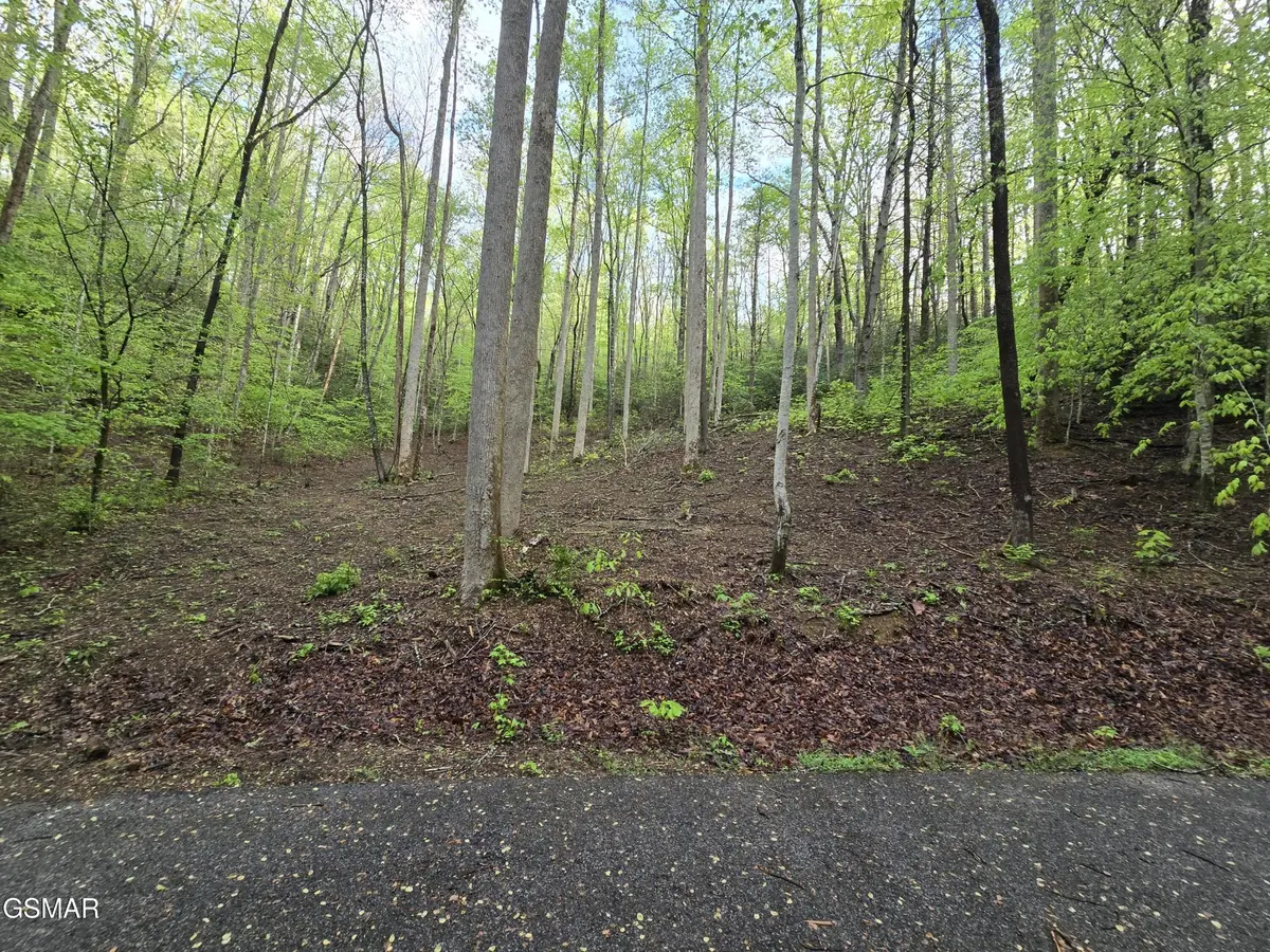 0 Cara Way, Cosby, TN 37722