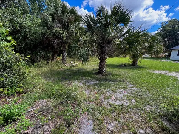 404 GROVE ST, Melrose, FL 32666