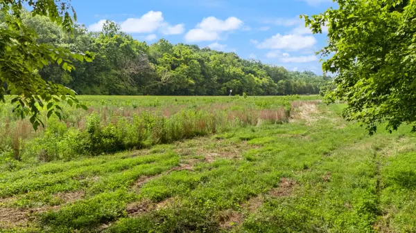 42 E Oneal Rd, Adolphus, KY 42120