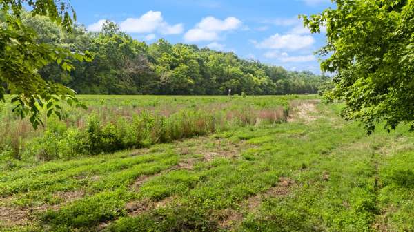 42 E Oneal Rd, Adolphus, KY 42120