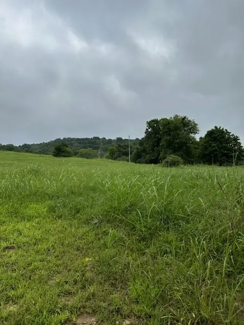 772 Rock Bridge Rd, Bethpage, TN 37022