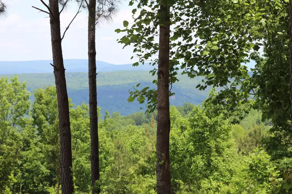 440 Lookout View Drive, Jasper, TN 37347