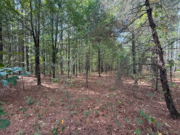 145 Brier Hill Rd, Ethridge, TN 38456